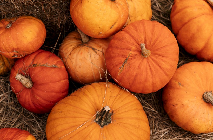 A bunch of orange pumpkins resting on hay, likely outdoors, showcasing a fall harvest display.