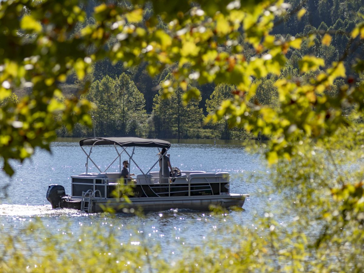 A pontoon boat is cruising on a lake, framed by lush green foliage with trees in the background, creating a tranquil and scenic view.