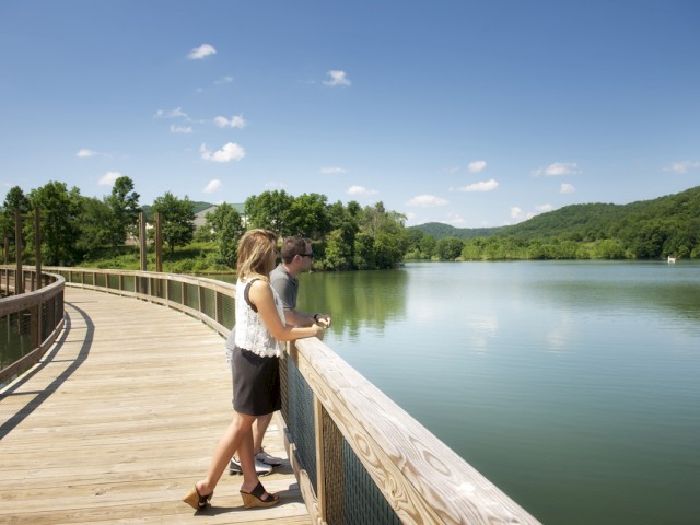 Two people stand on a wooden bridge, gazing at a calm river surrounded by lush green trees on a sunny day with a blue sky.