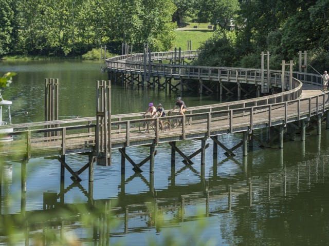 People are biking and fishing on a curved wooden pier over a lake surrounded by green trees.