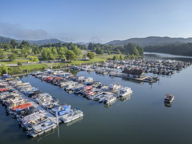 Aerial view of a marina with numerous boats docked, surrounded by green trees, water, and distant mountains under a clear sky.