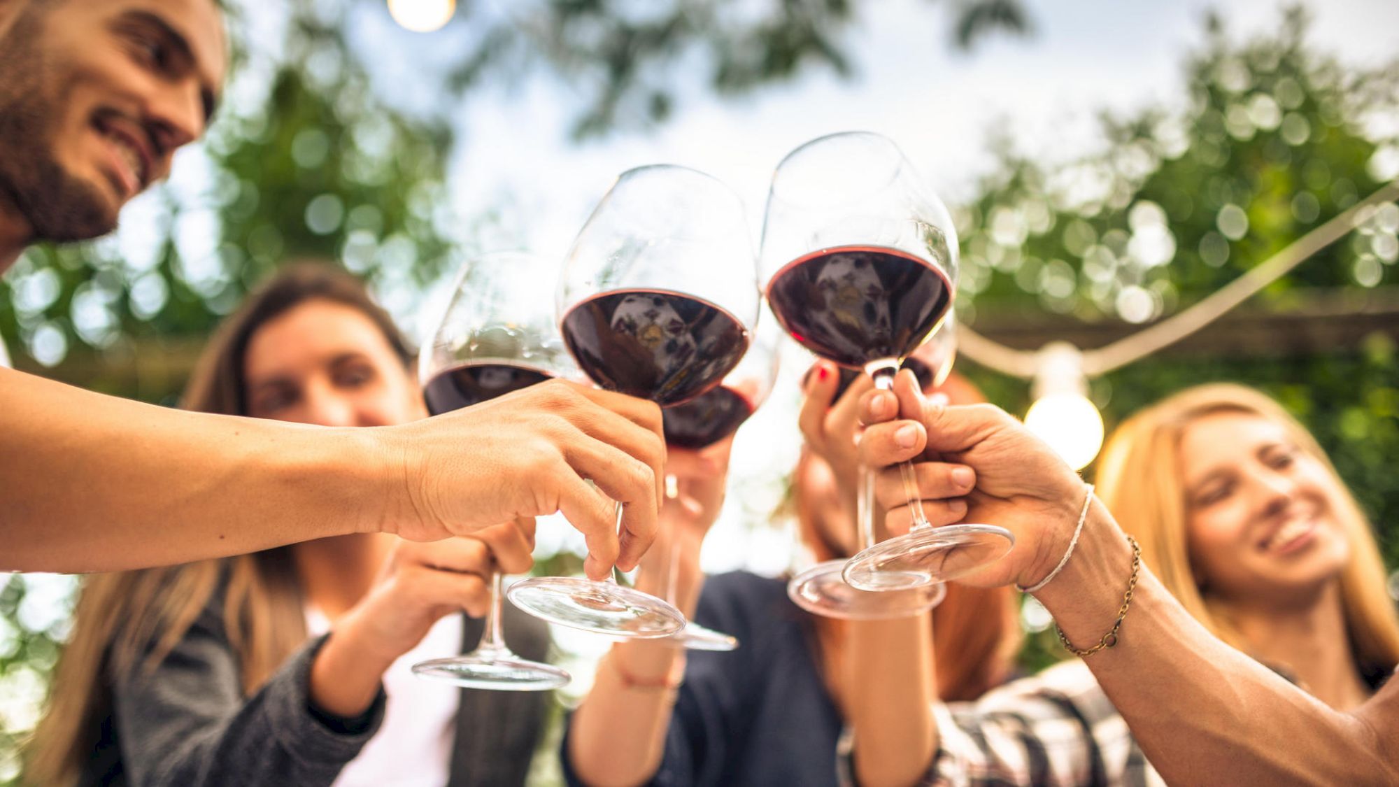 A group of people are outdoors, raising glasses of red wine in a toast, smiling and enjoying a festive atmosphere.