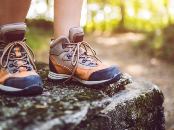 Hiking boots on a person's feet standing on a rock, with a forest trail in the background and sunlight filtering through the trees ending the sentence.