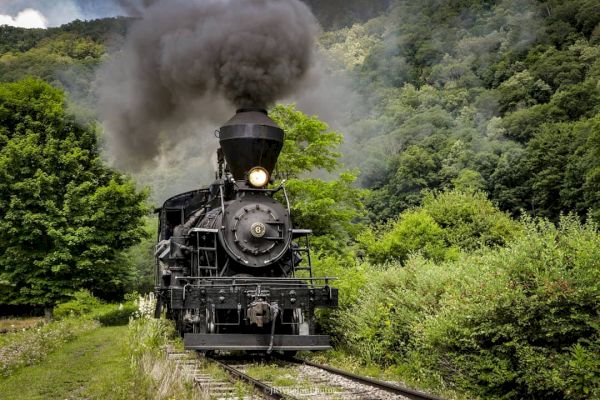 The image shows a black steam locomotive chugging along a railway track surrounded by lush green trees and vegetation, emitting thick black smoke.