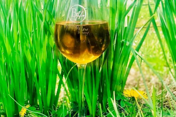 A glass of amber-colored liquid, possibly wine, stands in green grass with some plants and yellow flowers around.