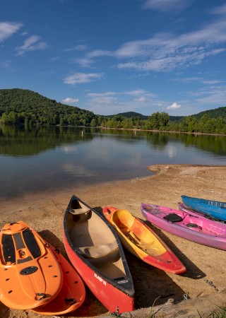 Colorful kayaks are lined up on a sandy beach beside a calm river under a clear blue sky.