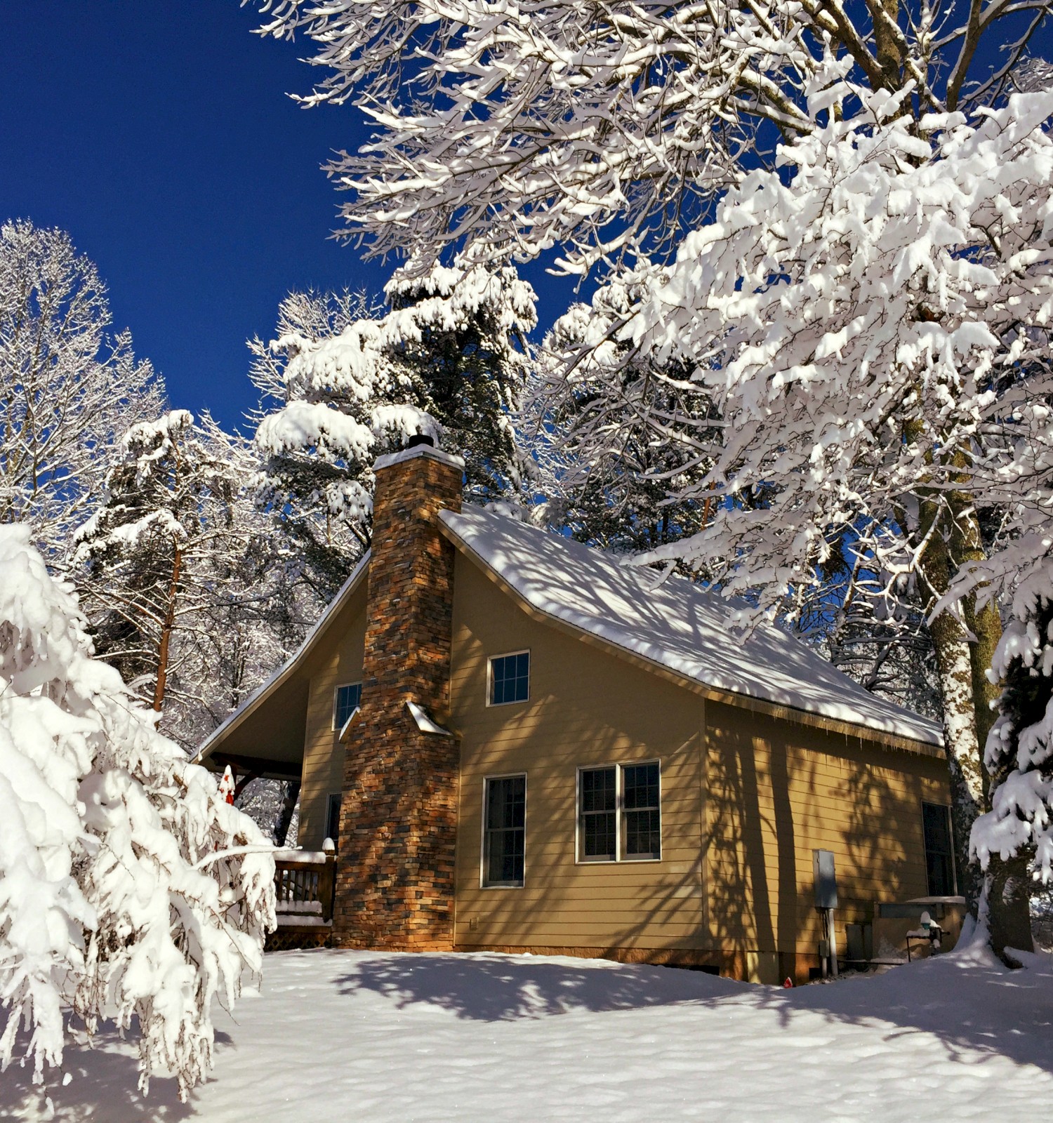 Cozy yellow house nestled in a snowy forest, with heavy frost on trees and a bright blue sky above.