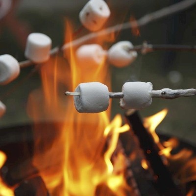 Marshmallows on sticks being toasted over an open campfire.