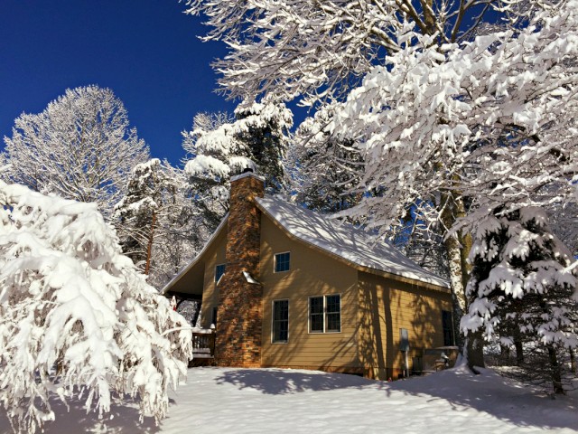 A cozy house surrounded by snow-covered trees on a clear, sunny winter day.