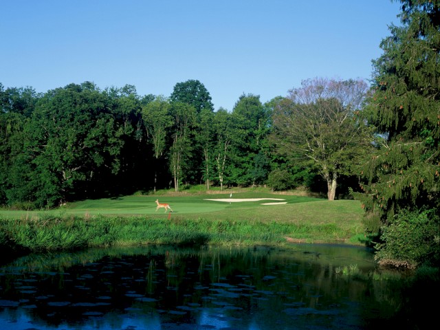 The image shows a peaceful golf course surrounded by trees, with a pond in the foreground and a deer standing on the green.