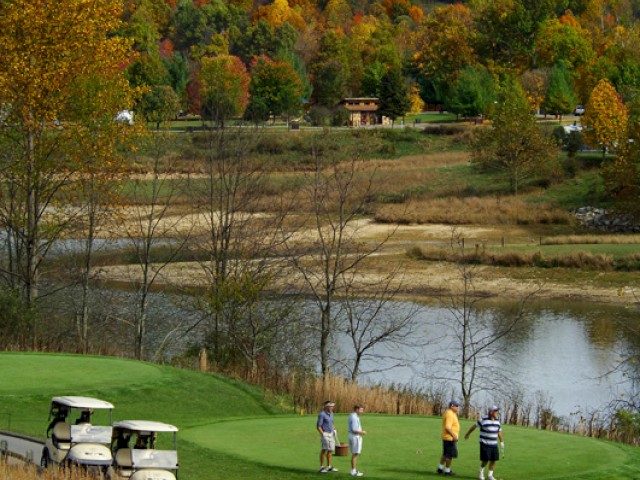 Four people are standing on a green playing golf, with two golf carts nearby, and a scenic background of trees and a river ending the sentence.