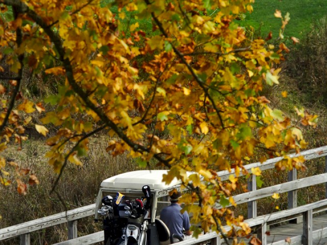A golf cart with passengers crosses a wooden bridge surrounded by autumn foliage, with vibrant orange leaves in the foreground against green grass.
