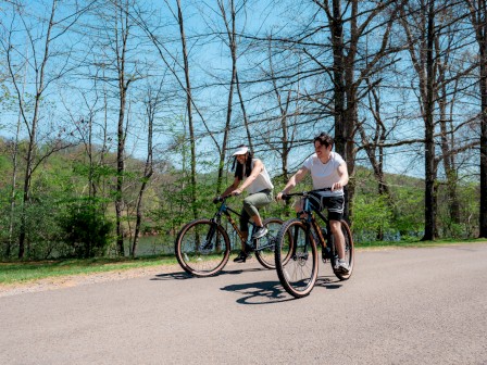 Stonewall Resort