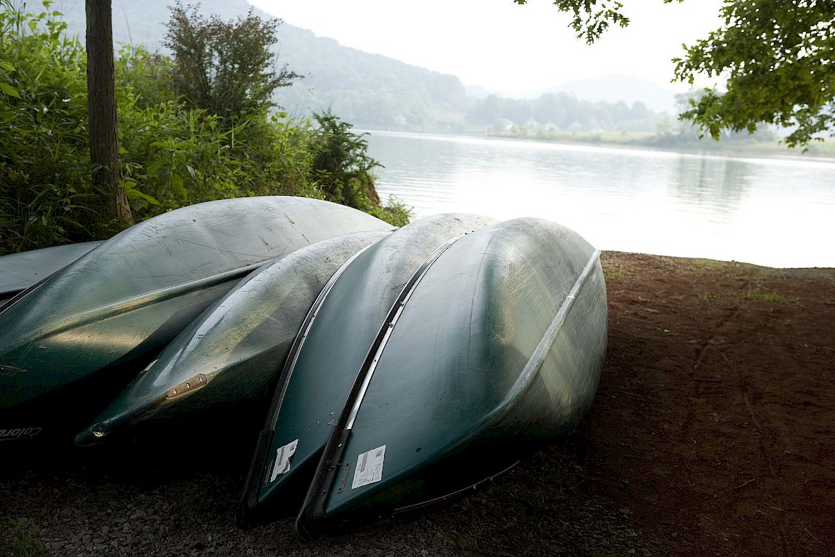Three upside-down canoes are on a lakeside shore, surrounded by greenery with a calm water view in the background.