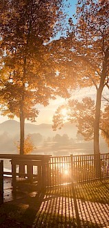 A serene lakeside scene at sunrise with autumn trees, a wooden deck, and soft sunlight filtering through the leaves over the water.