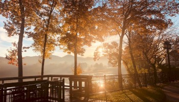 Sunset by a lakeside with trees, a railing, and shadows on the ground in a peaceful autumn scene.