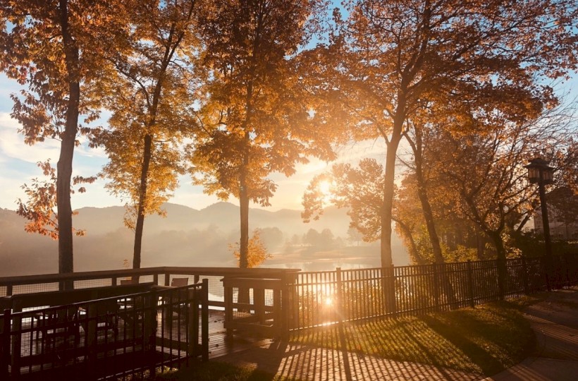 Sunset by a lakeside with trees, a railing, and shadows on the ground in a peaceful autumn scene.