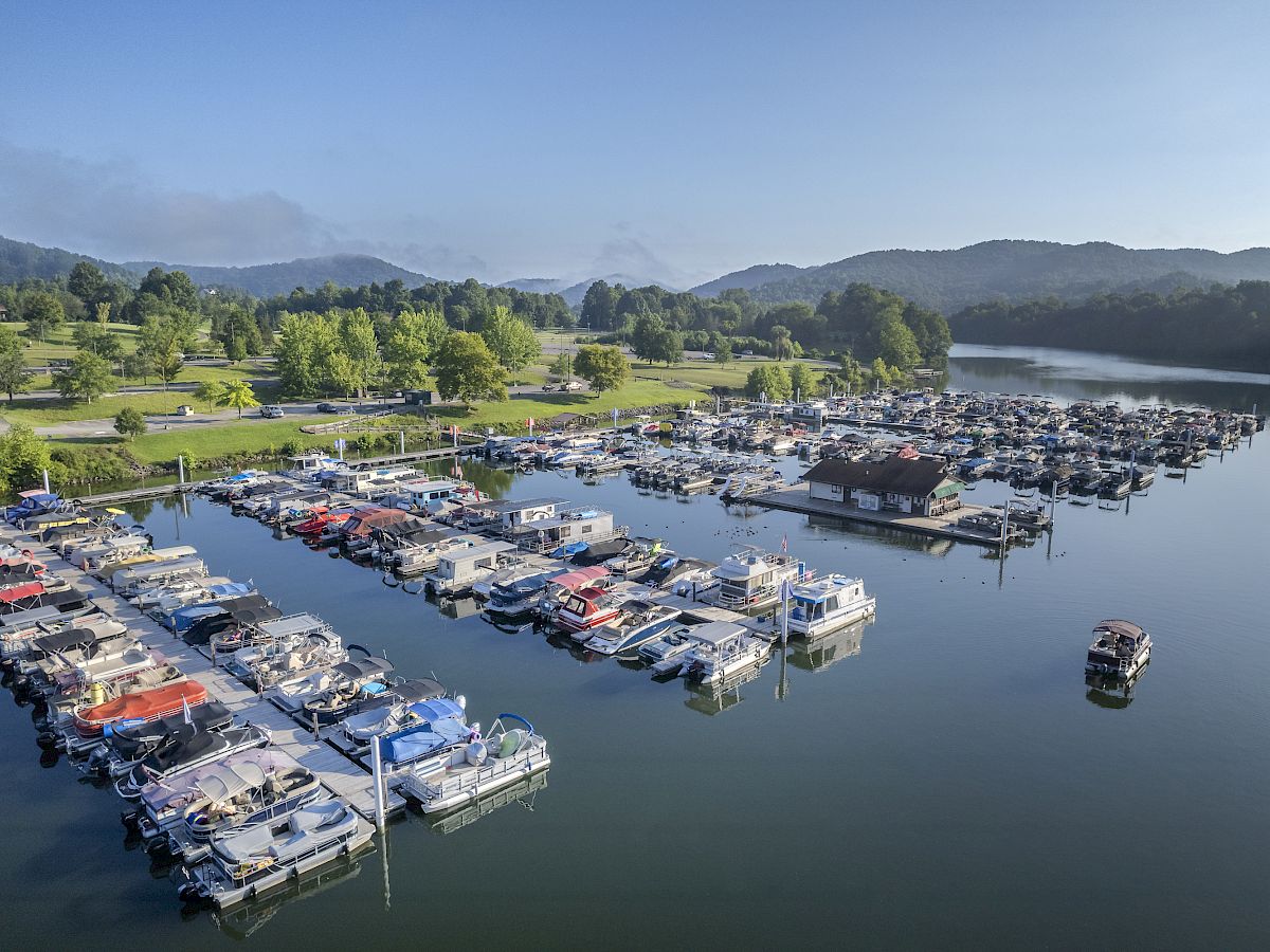 A peaceful marina with multiple boats docked on calm waters, surrounded by greenery and mountains under a clear blue sky.