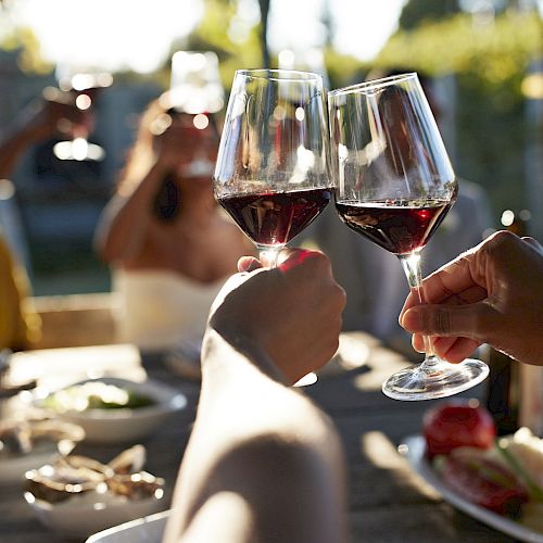 People are toasting with glasses of red wine at an outdoor gathering with food on the table.