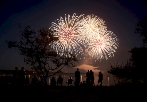 A group of people silhouetted against the night sky watches a vibrant fireworks display, creating an enchanting scene by the water's edge.