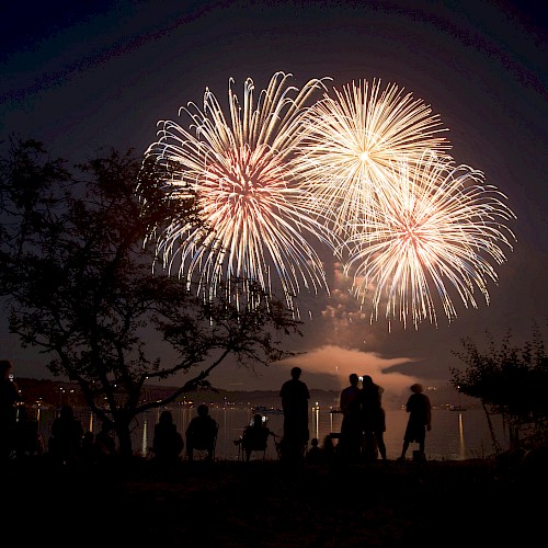 A group of people silhouetted against the night sky watches a vibrant fireworks display, creating an enchanting scene by the water's edge.