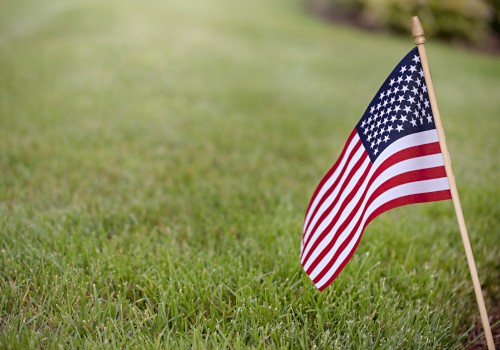 This image shows a small American flag planted in a grassy area with a blurred background.