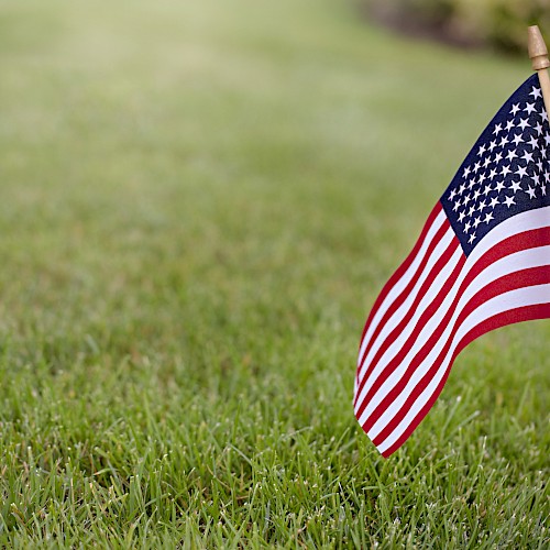 This image shows a small American flag planted in a grassy area with a blurred background.