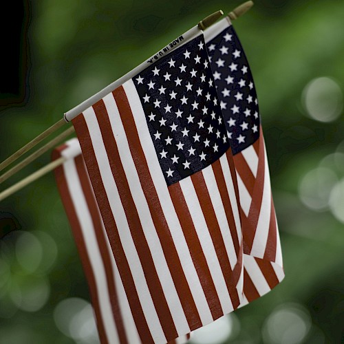 The image shows two small American flags on sticks, with a blurred green background.