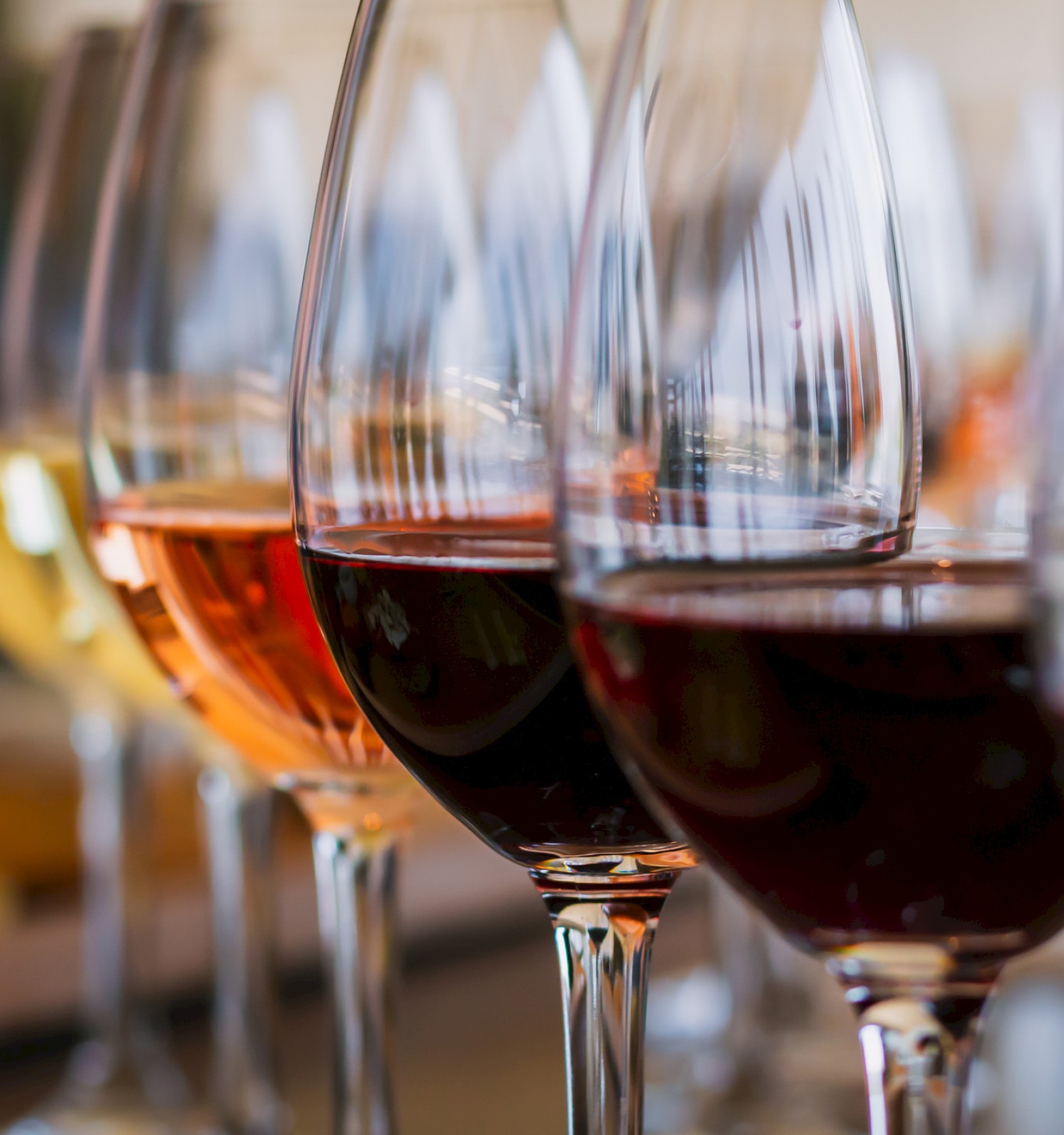 The image shows several wine glasses filled with different types of wine, ranging from white to rosé to red, arranged in a row.