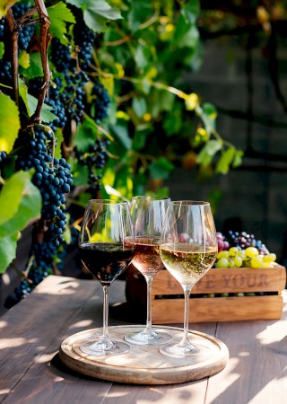 Three glasses of red, white, and rosé wine are set on a wooden tray in a vineyard.