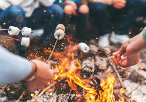 People are roasting marshmallows over a campfire, with a close-up of their hands holding sticks. The flames are vividly depicted.