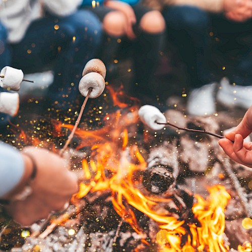 People are roasting marshmallows over a campfire, with a close-up of their hands holding sticks. The flames are vividly depicted.