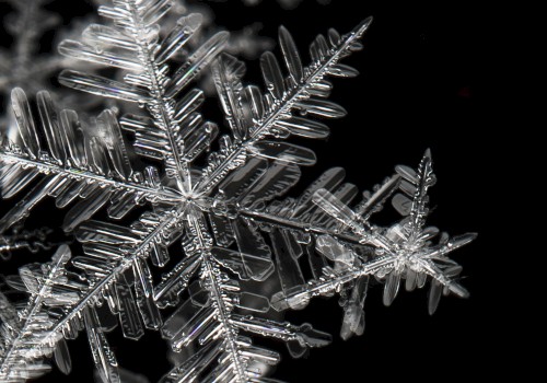 The image shows a close-up of intricate, crystalline snowflakes on a dark background, highlighting their unique patterns.