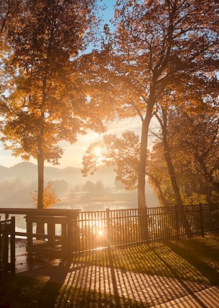 A serene lakeside scene with autumn trees, sunlight streaming through leaves, and a wooden deck with railing by the water's edge.