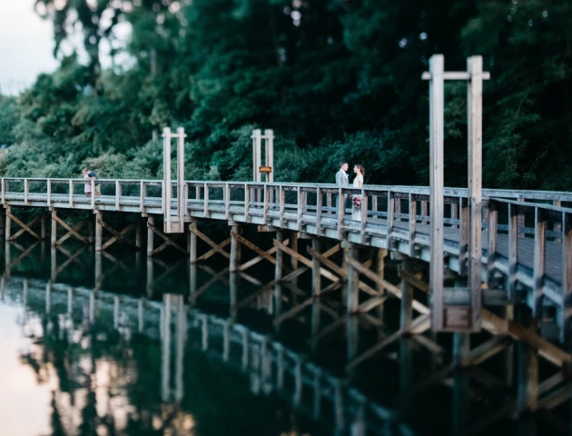 A wooden walkway over a calm body of water, surrounded by lush green trees, with three people walking on it.