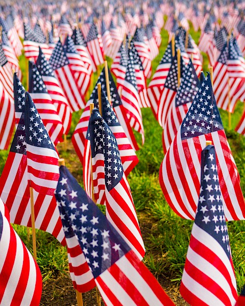 The image shows numerous small American flags placed upright on a grassy field, creating a vibrant and patriotic display.