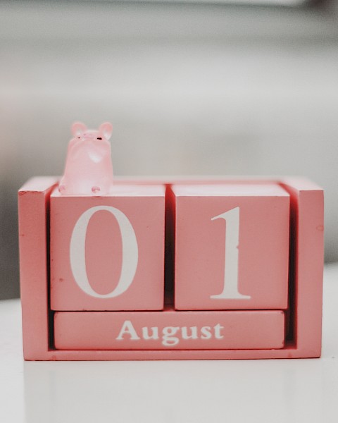 The image shows a pink desk calendar set to August 1, featuring a small pink hippopotamus figurine on top.