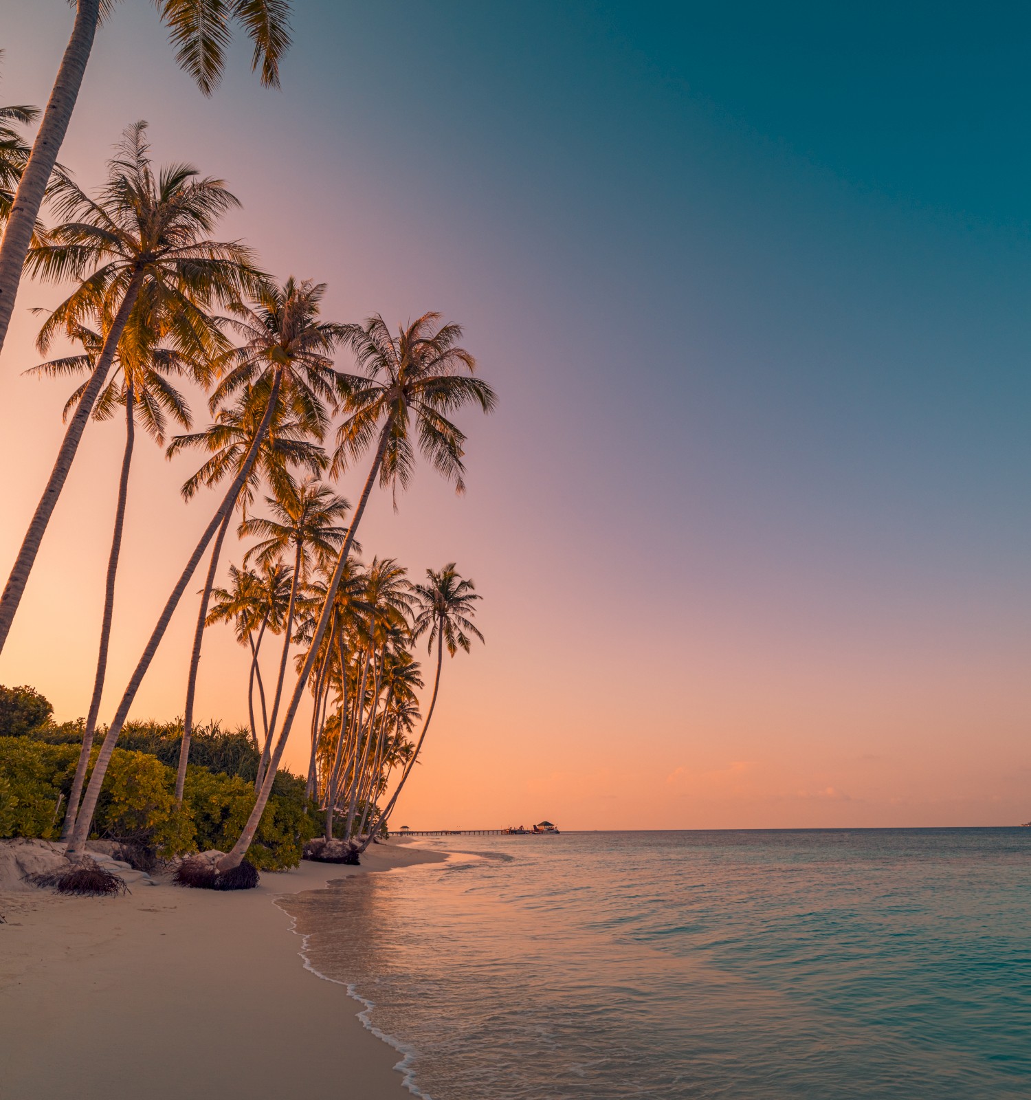 A serene beach with tall palm trees, calm ocean waves, and a colorful sunset sky.
