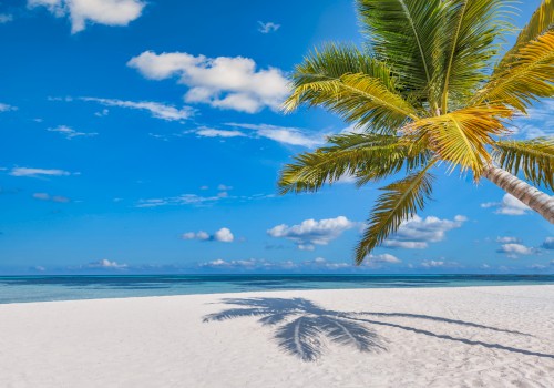 A serene beach scene with a palm tree casting a shadow on white sand under a bright blue sky with scattered clouds.