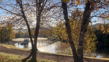 A serene landscape with autumn trees, a wooden bridge over calm water, sunlight filtering through leaves, and mist in the background.