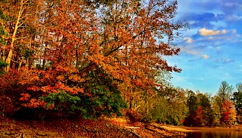 Stonewall Resort